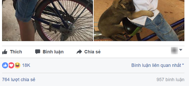 buc anh cun oi di tron voi anh dang yeu het muc khien dan mang tim rung rinh