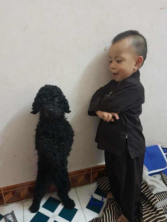 buc anh cun oi di tron voi anh dang yeu het muc khien dan mang tim rung rinh