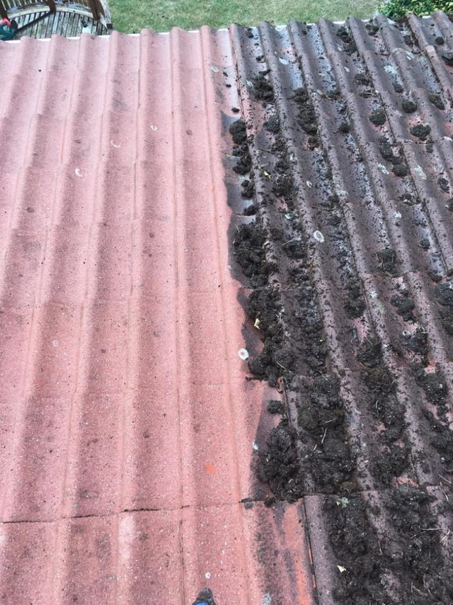 17 buc anh truoc sau khien nguoi theo chu nghia hoan hao cam thay vo cung sung suong va man nguyen