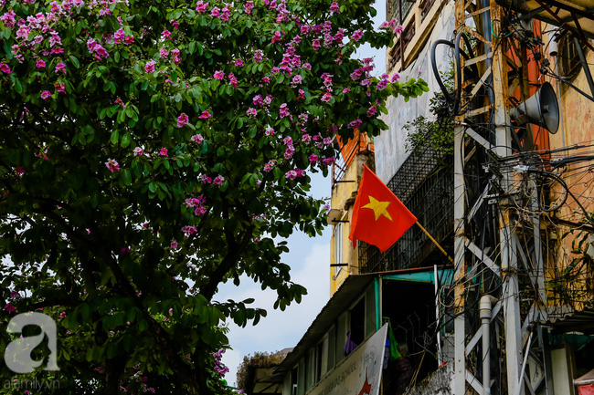 sac tim hoa bang lang khien ha noi tho mong hon giua mua ha chay