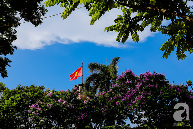 sac tim hoa bang lang khien ha noi tho mong hon giua mua ha chay
