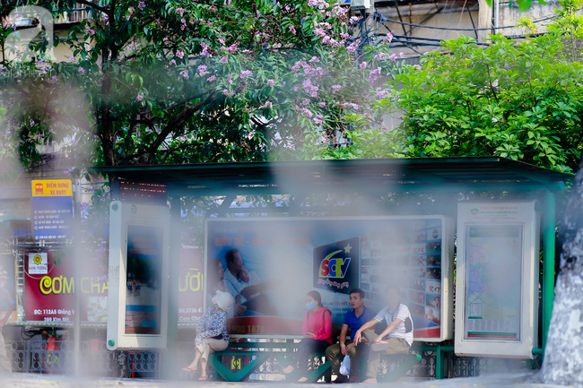 sac tim hoa bang lang khien ha noi tho mong hon giua mua ha chay