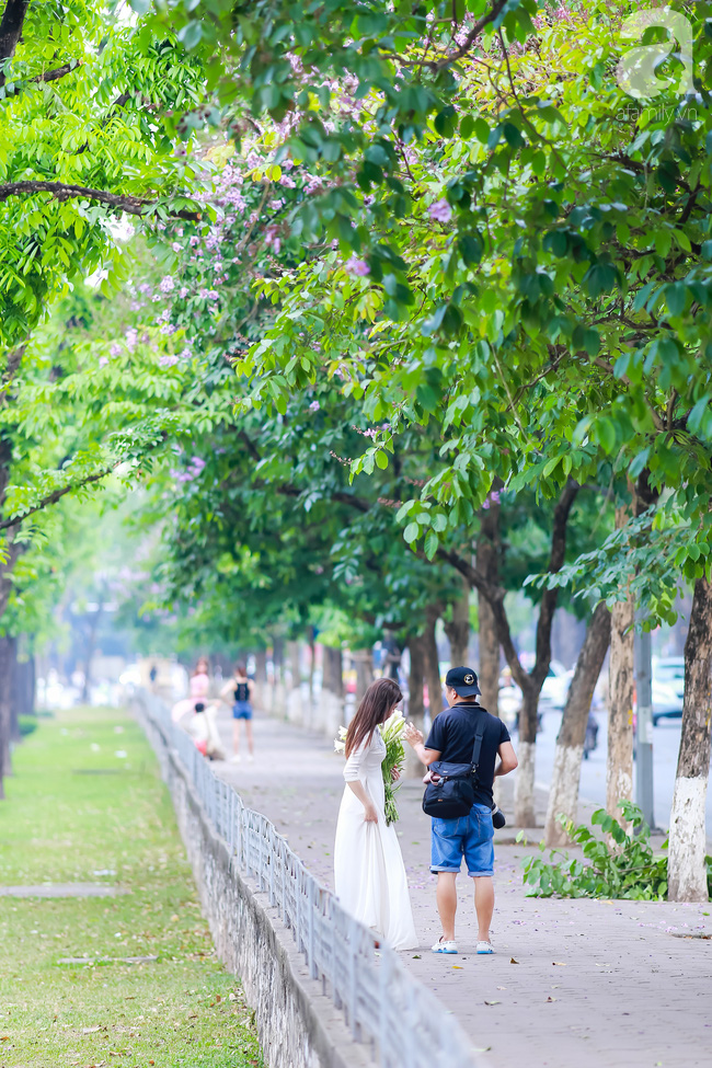 sac tim hoa bang lang khien ha noi tho mong hon giua mua ha chay