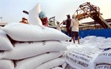 philippines co the nhap them 250000 tan gao tu viet nam va thai lan