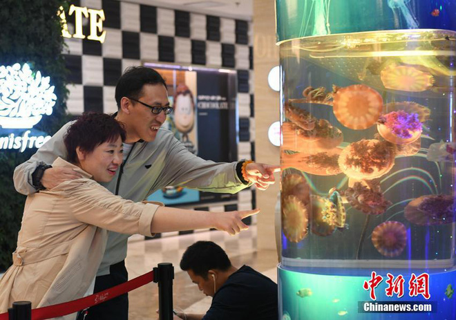 bi chong bo ba me don than quyet tam vut bo 121kg mo thua va cai ket khong the ngot ngao hon