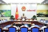 thu tuong quy hoach bien doi khi hau tranh nong dau phui do