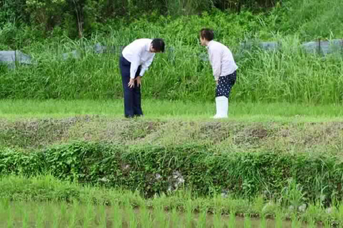 nhan vien doan ho tong thu tuong nhat ban cui dau chao va cam on nguoi di xe dap vi da nhuong duong