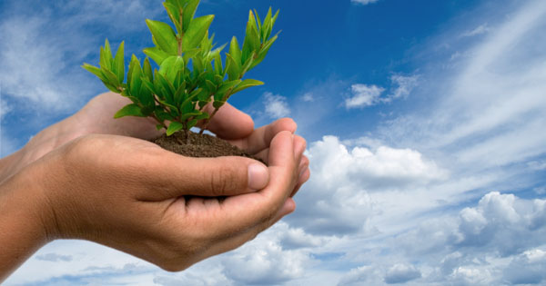 vo cu elon musk tiet lo bi quyet de tro thanh ty phu va no co the rat khac so voi nhung gi ban hay duoc nghe