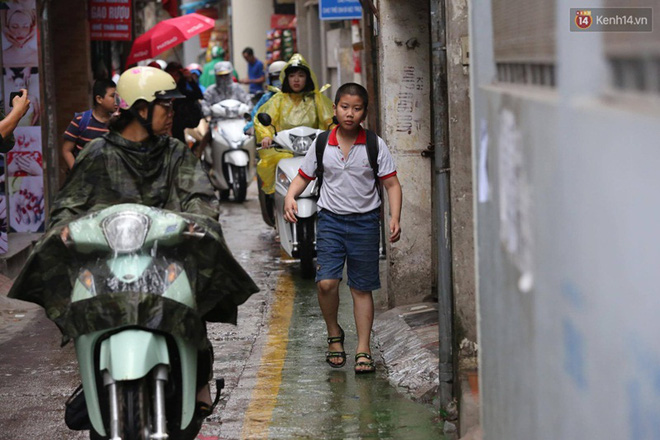 con ngo nho de thuong voi lan duong uu tien cho tre em dau tien o ha noi