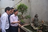 ha noi nu sinh vien tu vong do sot xuat huyet
