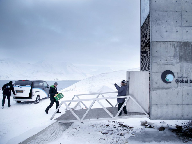 ha m ta n the svalbard o bac cuc da bi bang tan gay ngap lut va bit kin loi vao
