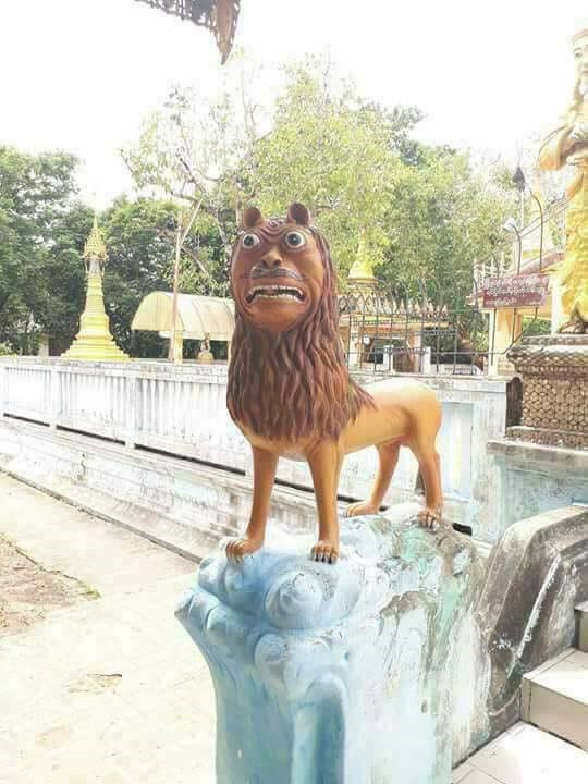 con rong bien doi gen xuat hien khien dan mang dau dau tim ten