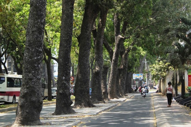 nang nong tai bac bo voi nhiet do pho bien 35 38 do
