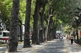 nang nong tai bac bo voi nhiet do pho bien 35 38 do