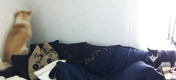 17 chu cho hen nhat khong so troi khong so dat con lai thi cai gi cung so