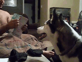 17 chu cho hen nhat khong so troi khong so dat con lai thi cai gi cung so