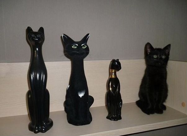 20 ke khong phai la nang nhung cu thich to ve choi chang