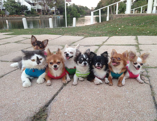 20 ke khong phai la nang nhung cu thich to ve choi chang