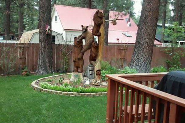 20 ke khong phai la nang nhung cu thich to ve choi chang