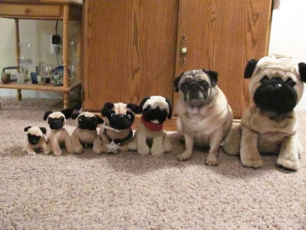 20 ke khong phai la nang nhung cu thich to ve choi chang