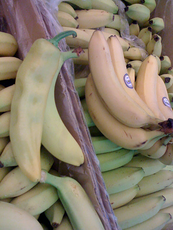 20 ke khong phai la nang nhung cu thich to ve choi chang