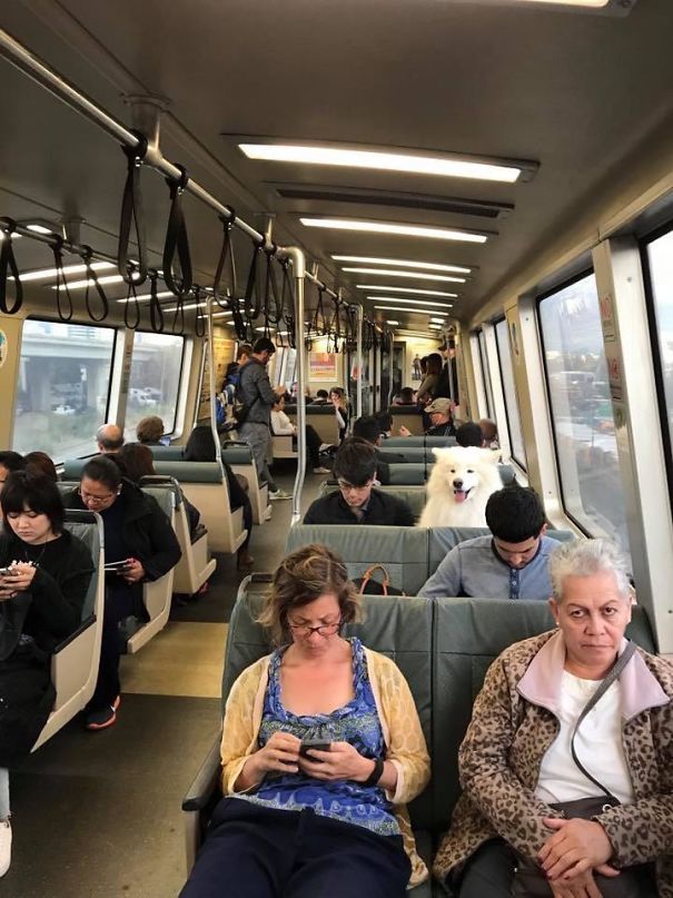 20 ke khong phai la nang nhung cu thich to ve choi chang