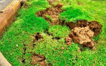 ho ga no nhu bom tren duong truong sa nhieu nguoi hoang so thao chay