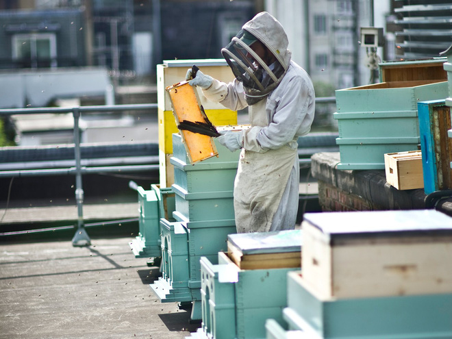 ton tai hon 300 nam giua london sam uat cua tiem tap hoa nay van thanh cong vi 1 ly do duy nhat