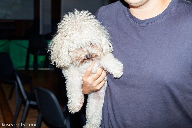 ban co biet nhan vien uber tai manhattan co the dem cho cung toi van phong