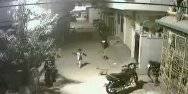 goi hoi bat nat thanh nien cung 5 tuoi bat thanh dan cho du danh cup duoi bo ve