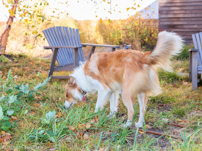 day la cach ma nhan vien tai cac cong ty hang dau nhu facebook linkedin va adobe xa stress o noi lam viec