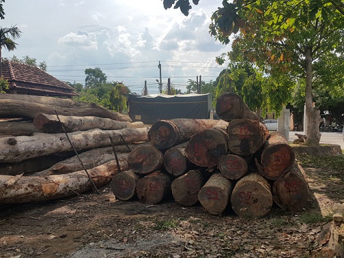 khoi to phuong rau va 4 doi tuong vu buon lau go quy mo lon o dak nong