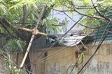ha noi sap gian cau lau kinh nhie u nguoi bi thuong