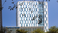 vinamilk thong tin ve su viec mot ho chan nuoi do sua tai nghe an