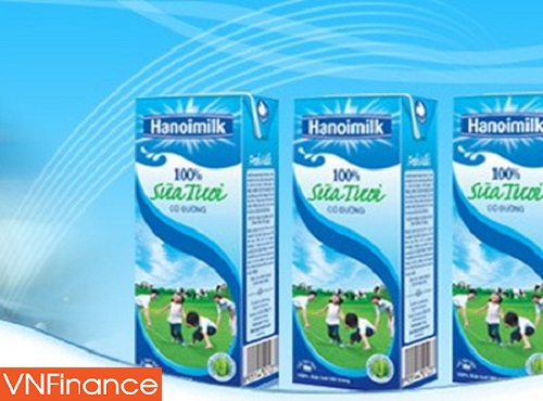 hanoimilk dung truoc nguy co bi huy niem yet sau chua day 4 thang tro lai giao dich