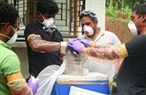 virus nipah lai xuat hien lam nhieu nguoi tu vong o an do