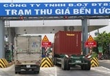tim moi mat trong tu dien tieng viet khong thay nghia cua thu gia bot