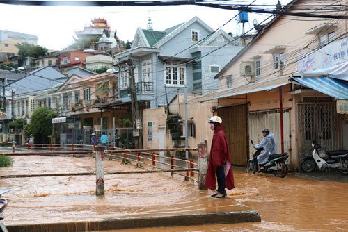 da lat lien tiep mua lon lam sap nha dan