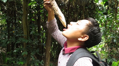 nguoi tien su giua phong nha ke bang