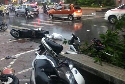 ha noi 500 cay bat goc hai nguoi chet