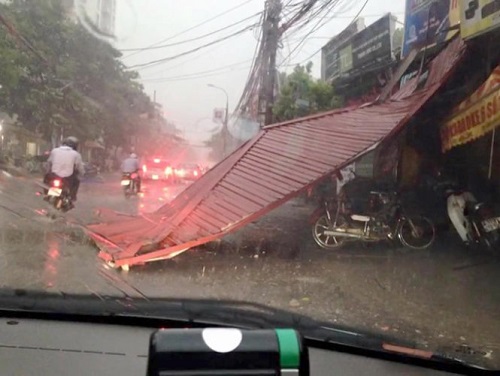 ha noi 500 cay bat goc hai nguoi chet