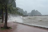 bao so 1 doi huong quat xuong thai binh