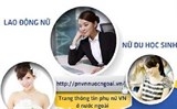 ra mat trang thong tin phu nu viet nam o nuoc ngoai