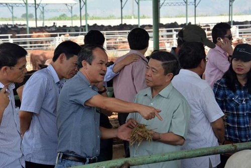 dai gia do tien vao nong nghiep xu the hay phong trao