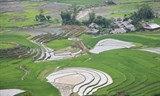 sa pa hut hon du khach mua nuoc do