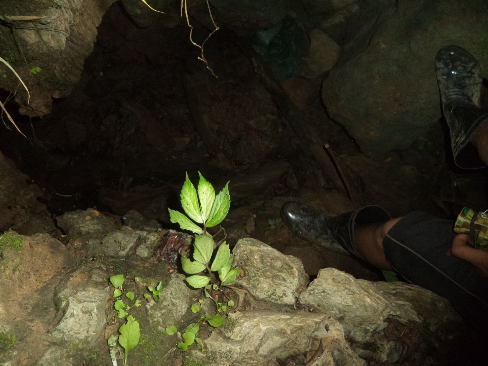 ba phu vang bi mac ket duoi hang sau