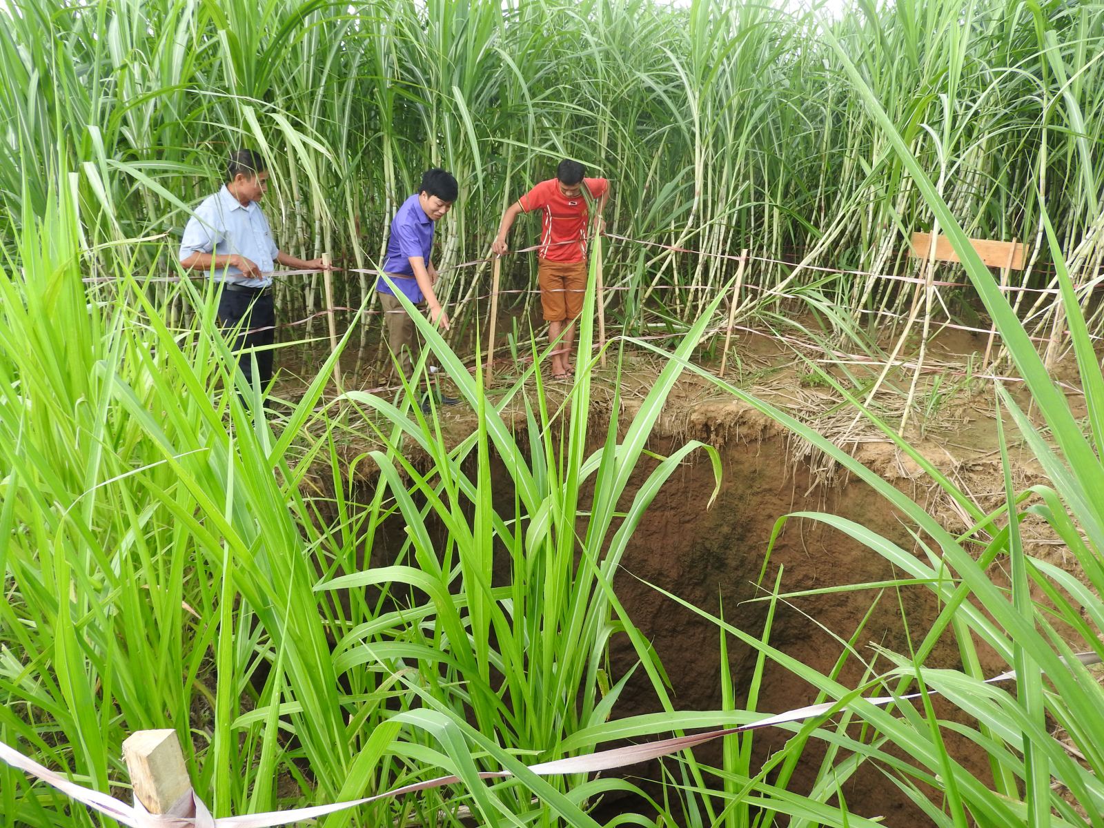 ho tu than o thanh hoa tiep tuc sut lun