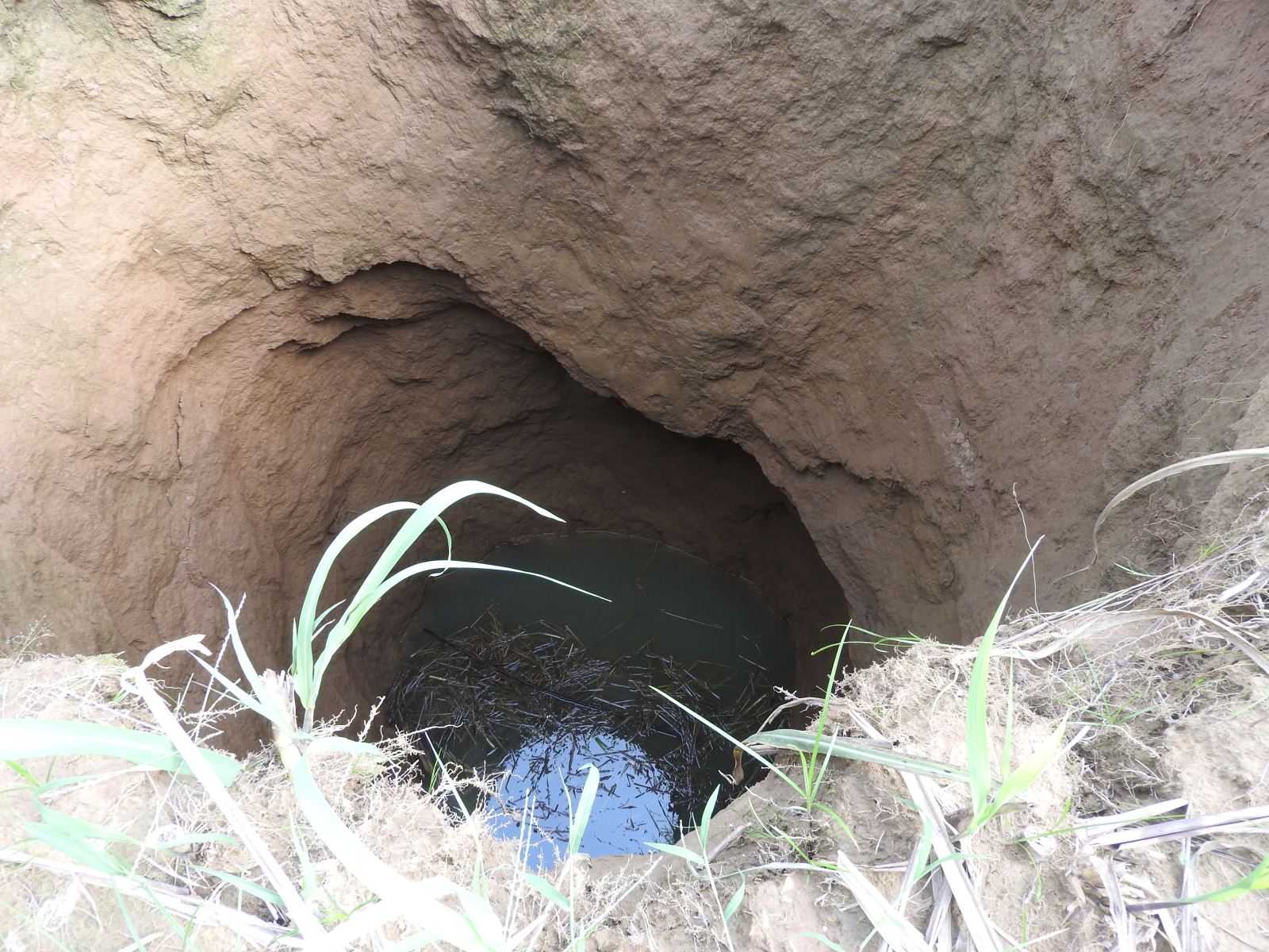 ho tu than o thanh hoa tiep tuc sut lun