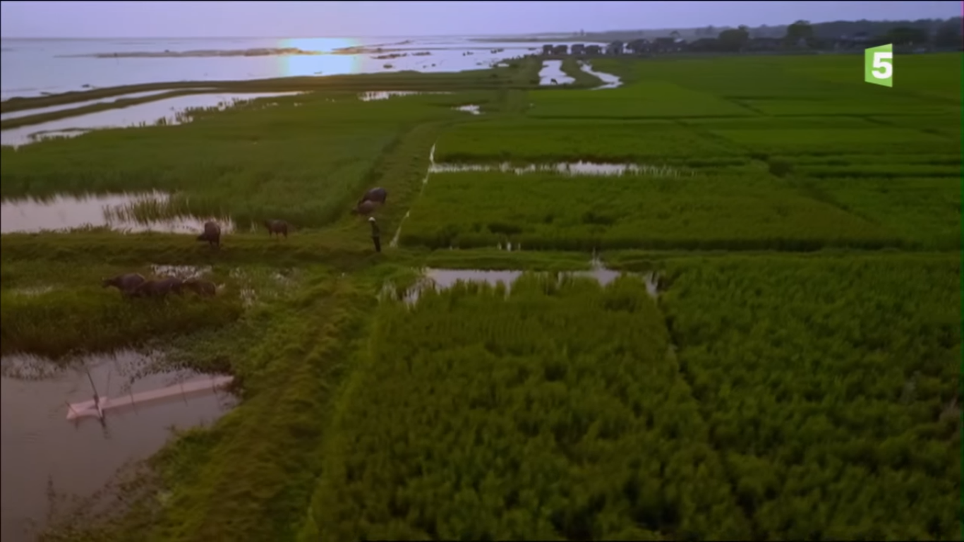 phim nhung nu cuoi viet nam duoc phat song tren truyen hinh phap