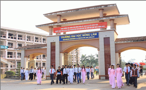gan 1000 sinh vien dh nong lam tphcm bi buoc thoi hoc